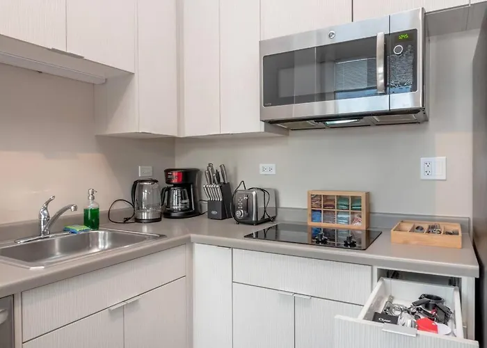 Apartment South Loop 2br Retreat Near Grant Park, Soldier Field, Adler Planetarium & Columbia College *